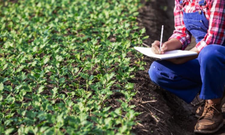 Gestor do agronegócio monitora indicadores de frota em dashboard de operações