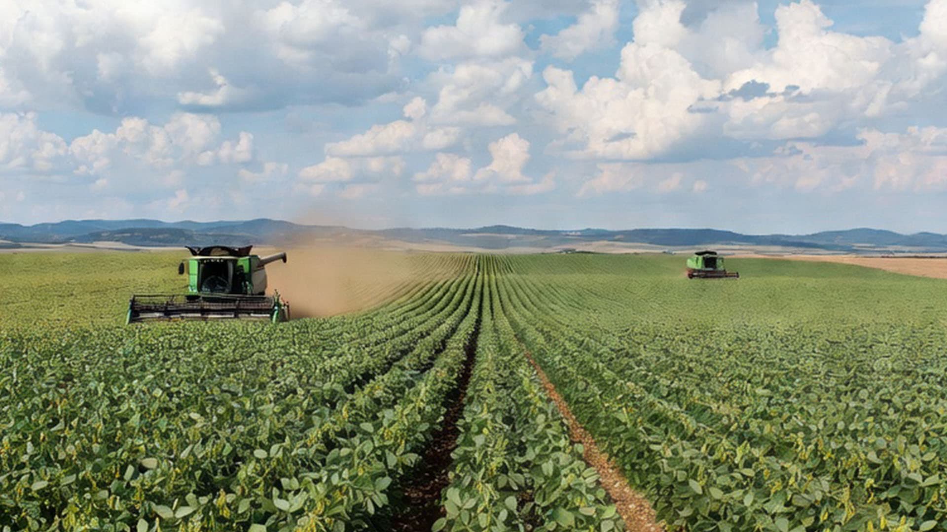 Quem não planta gestão colhe prejuízo: controle total da frota