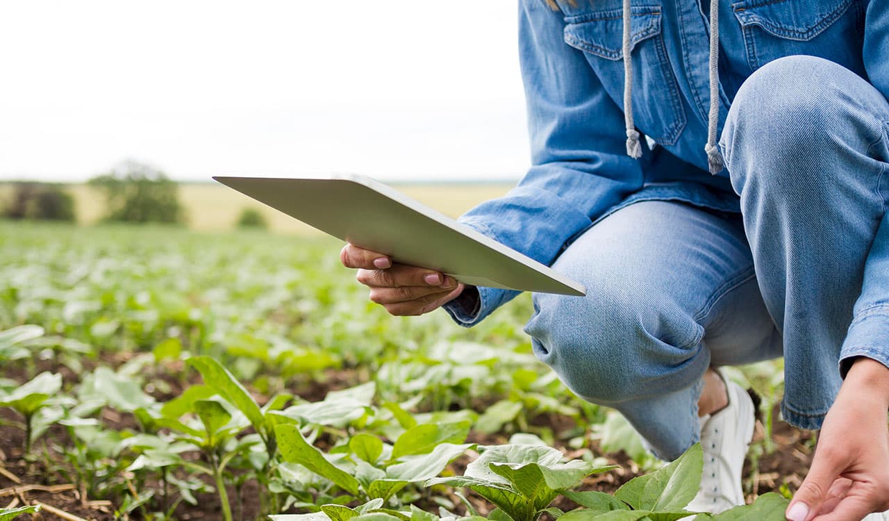Mapa de tecnologias essenciais para o agro em 2025