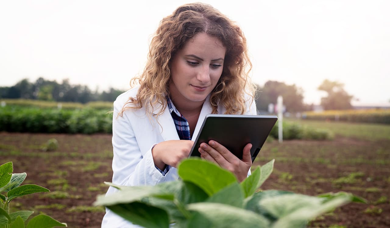 Microclimas e dados integrados: como proteger a safra